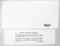 Image Associated With the Occurence